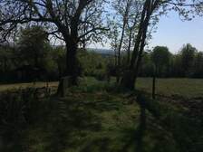 333346