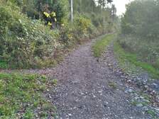 338248