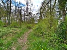 370655