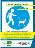 chien en laisse