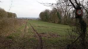 375699