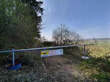 376423