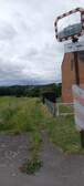 377591