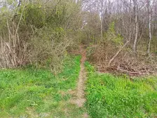 382987