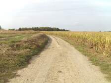 385489