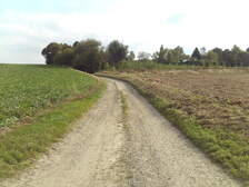 385490