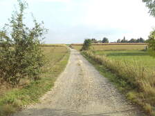 385493